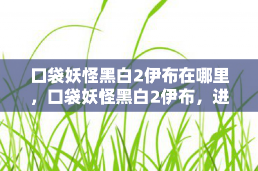 口袋妖怪黑白2伊布在哪里,口袋妖怪黑白2伊布,进化与战斗的艺术 口袋妖怪黑白2伊布在哪里,口袋妖怪黑白2伊布,进化与战斗的艺术