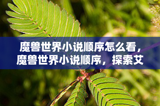 魔兽世界小说顺序怎么看,魔兽世界小说顺序,探索艾泽拉斯的奇幻之旅 魔兽世界小说顺序怎么看,魔兽世界小说顺序,探索艾泽拉斯的奇幻之旅