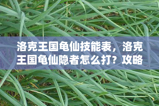 洛克王国龟仙技能表,洛克王国龟仙隐者怎么打?攻略详解 洛克王国龟仙技能表,洛克王国龟仙隐者怎么打?攻略详解