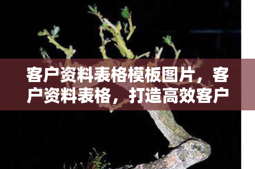 客户资料表格模板图片,客户资料表格,打造高效客户管理的秘密武器 客户资料表格模板图片,客户资料表格,打造高效客户管理的秘密武器