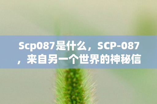 Scp087是什么，SCP-087，来自另一个世界的神秘信件
