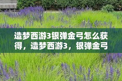 造梦西游3银弹金弓怎么获得,造梦西游3,银弹金弓的传奇之旅 造梦西游3银弹金弓怎么获得,造梦西游3,银弹金弓的传奇之旅