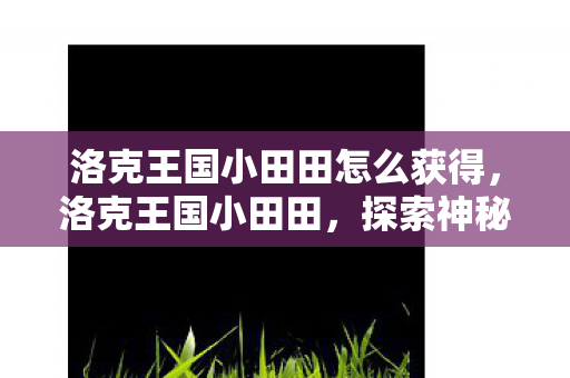 洛克王国小田田怎么获得,洛克王国小田田,探索神秘王国的奇妙之旅 洛克王国小田田怎么获得,洛克王国小田田,探索神秘王国的奇妙之旅