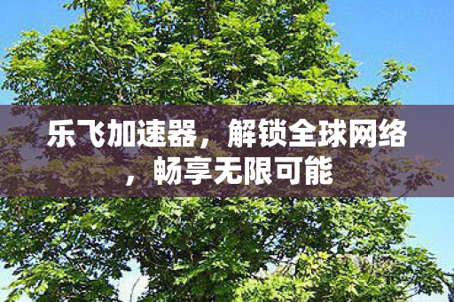 乐飞加速器,解锁全球网络,畅享无限可能 乐飞加速器,解锁全球网络,畅享无限可能