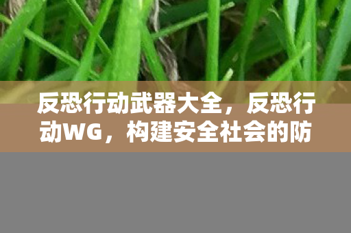 反恐行动武器大全,反恐行动WG,构建安全社会的防线 反恐行动武器大全,反恐行动WG,构建安全社会的防线