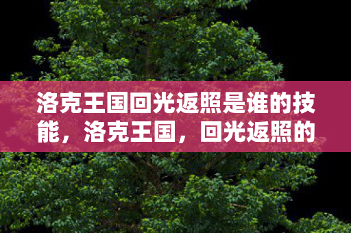 洛克王国回光返照是谁的技能,洛克王国,回光返照的奇迹 洛克王国回光返照是谁的技能,洛克王国,回光返照的奇迹
