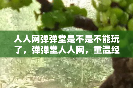 人人网弹弹堂是不是不能玩了,弹弹堂人人网,重温经典,再续前缘 人人网弹弹堂是不是不能玩了,弹弹堂人人网,重温经典,再续前缘