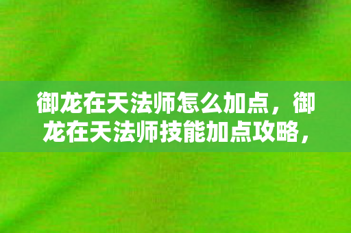 御龙在天法师怎么加点,御龙在天法师技能加点攻略,打造最强法师的秘诀 御龙在天法师怎么加点,御龙在天法师技能加点攻略,打造最强法师的秘诀