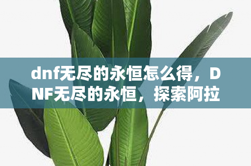 dnf无尽的永恒怎么得,DNF无尽的永恒,探索阿拉德大陆的奇幻之旅 dnf无尽的永恒怎么得,DNF无尽的永恒,探索阿拉德大陆的奇幻之旅