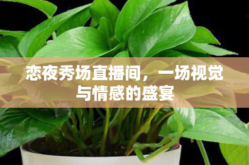 恋夜秀场直播间,一场视觉与情感的盛宴 恋夜秀场直播间,一场视觉与情感的盛宴