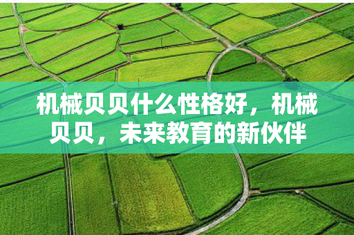 机械贝贝什么性格好,机械贝贝,未来教育的新伙伴 机械贝贝什么性格好,机械贝贝,未来教育的新伙伴