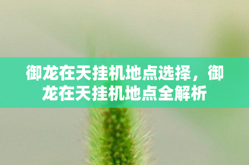御龙在天挂机地点选择,御龙在天挂机地点全解析 御龙在天挂机地点选择,御龙在天挂机地点全解析