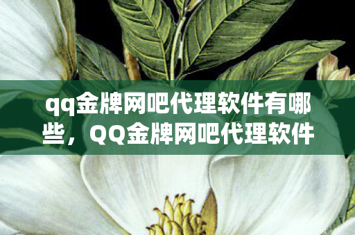 qq金牌网吧代理软件有哪些,QQ金牌网吧代理软件,打造高效网吧管理的利器 qq金牌网吧代理软件有哪些,QQ金牌网吧代理软件,打造高效网吧管理的利器