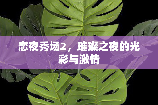 恋夜秀场2,璀璨之夜的光彩与激情 恋夜秀场2,璀璨之夜的光彩与激情