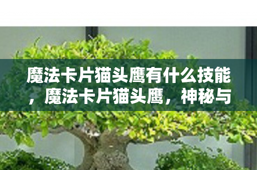 魔法卡片猫头鹰有什么技能,魔法卡片猫头鹰,神秘与智慧的象征 魔法卡片猫头鹰有什么技能,魔法卡片猫头鹰,神秘与智慧的象征