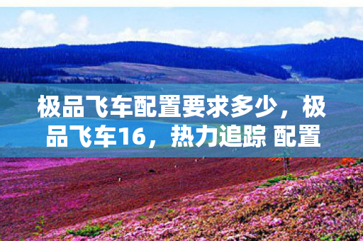 极品飞车配置要求多少,极品飞车16,热力追踪 配置要求详解 极品飞车配置要求多少,极品飞车16,热力追踪 配置要求详解