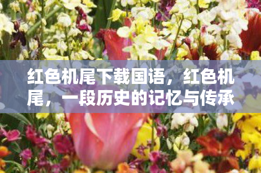 红色机尾下载国语,红色机尾,一段历史的记忆与传承 红色机尾下载国语,红色机尾,一段历史的记忆与传承