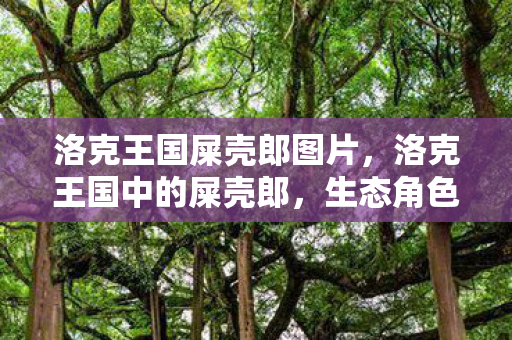 洛克王国屎壳郎图片,洛克王国中的屎壳郎,生态角色与趣味解析 洛克王国屎壳郎图片,洛克王国中的屎壳郎,生态角色与趣味解析