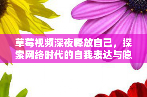 草莓视频深夜释放自己，探索网络时代的自我表达与隐私边界