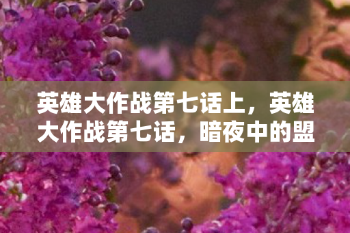 英雄大作战第七话上,英雄大作战第七话,暗夜中的盟约 英雄大作战第七话上,英雄大作战第七话,暗夜中的盟约