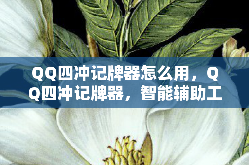 QQ四冲记牌器怎么用,QQ四冲记牌器,智能辅助工具还是作弊神器? QQ四冲记牌器怎么用,QQ四冲记牌器,智能辅助工具还是作弊神器?