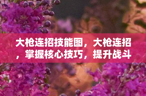 大枪连招技能图,大枪连招,掌握核心技巧,提升战斗效率 大枪连招技能图,大枪连招,掌握核心技巧,提升战斗效率