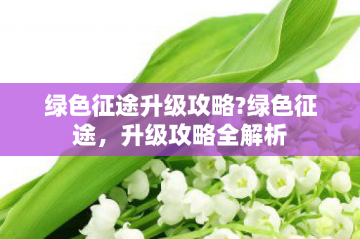 绿色征途升级攻略?绿色征途,升级攻略全解析 绿色征途升级攻略?绿色征途,升级攻略全解析