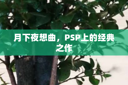 月下夜想曲,PSP上的经典之作 月下夜想曲,PSP上的经典之作