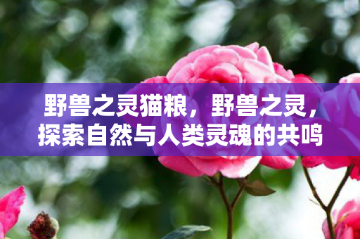 野兽之灵猫粮,野兽之灵,探索自然与人类灵魂的共鸣 野兽之灵猫粮,野兽之灵,探索自然与人类灵魂的共鸣