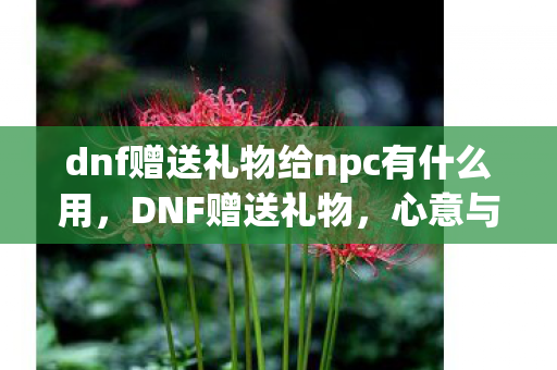 dnf赠送礼物给npc有什么用,DNF赠送礼物,心意与祝福的传递 dnf赠送礼物给npc有什么用,DNF赠送礼物,心意与祝福的传递
