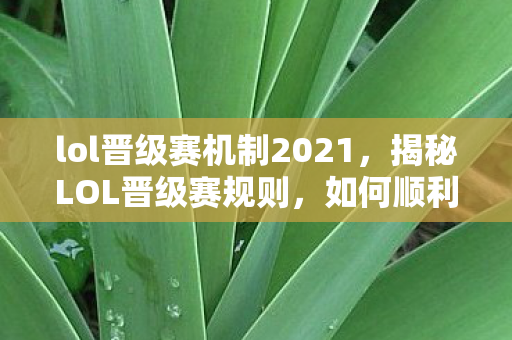 lol晋级赛机制2021,揭秘LOL晋级赛规则,如何顺利晋升段位? lol晋级赛机制2021,揭秘LOL晋级赛规则,如何顺利晋升段位?