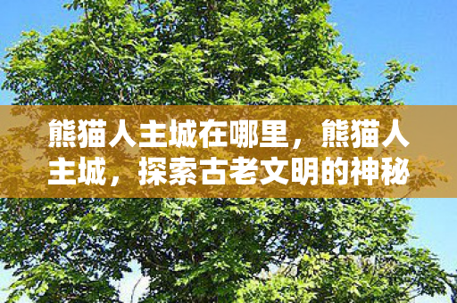 熊猫人主城在哪里,熊猫人主城,探索古老文明的神秘魅力 熊猫人主城在哪里,熊猫人主城,探索古老文明的神秘魅力
