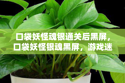 口袋妖怪魂银通关后黑屏，口袋妖怪银魂黑屏，游戏迷的困扰与解决之道