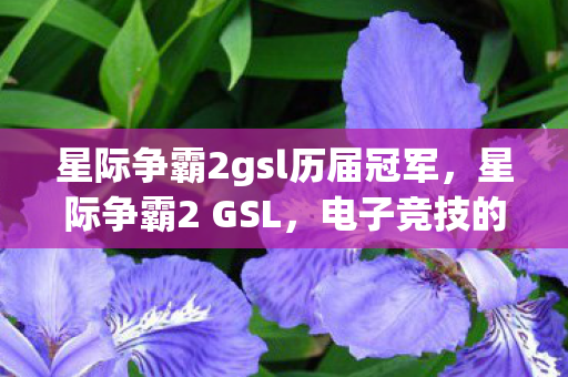 星际争霸2gsl历届冠军,星际争霸2 GSL,电子竞技的巅峰之战 星际争霸2gsl历届冠军,星际争霸2 GSL,电子竞技的巅峰之战