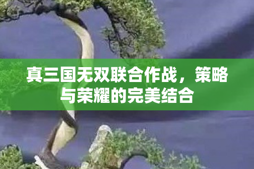 真三国无双联合作战,策略与荣耀的完美结合 真三国无双联合作战,策略与荣耀的完美结合