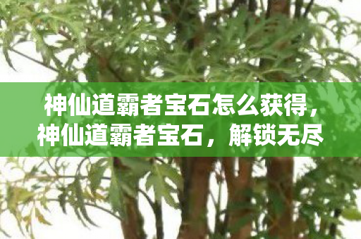 神仙道霸者宝石怎么获得,神仙道霸者宝石,解锁无尽力量的神秘宝石 神仙道霸者宝石怎么获得,神仙道霸者宝石,解锁无尽力量的神秘宝石