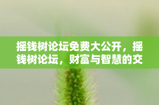 摇钱树论坛免费大公开,摇钱树论坛,财富与智慧的交汇之地 摇钱树论坛免费大公开,摇钱树论坛,财富与智慧的交汇之地