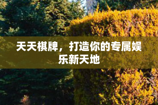 天天棋牌,打造你的专属娱乐新天地 天天棋牌,打造你的专属娱乐新天地