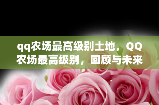 qq农场最高级别土地,QQ农场最高级别,回顾与未来展望 qq农场最高级别土地,QQ农场最高级别,回顾与未来展望