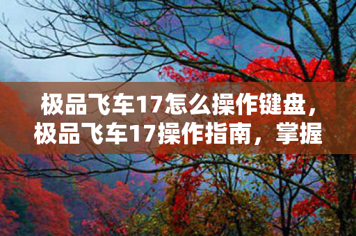 极品飞车17怎么操作键盘，极品飞车17操作指南，掌握这些技巧，让你成为赛道王者