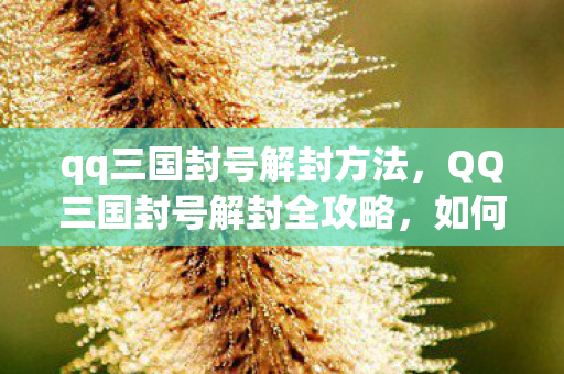qq三国封号解封方法,QQ三国封号解封全攻略,如何避免与解决账号封禁问题 qq三国封号解封方法,QQ三国封号解封全攻略,如何避免与解决账号封禁问题