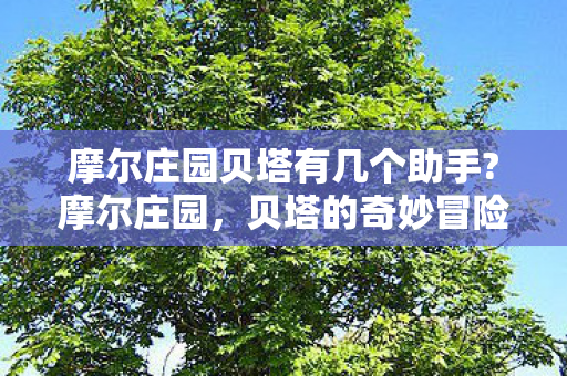 摩尔庄园贝塔有几个助手?摩尔庄园,贝塔的奇妙冒险 摩尔庄园贝塔有几个助手?摩尔庄园,贝塔的奇妙冒险