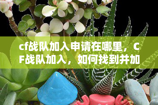 cf战队加入申请在哪里，CF战队加入，如何找到并加入适合自己的CF战队