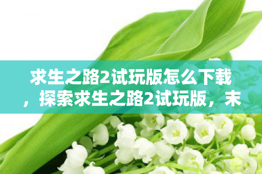 求生之路2试玩版怎么下载,探索求生之路2试玩版,末日丧尸的残酷生存挑战 求生之路2试玩版怎么下载,探索求生之路2试玩版,末日丧尸的残酷生存挑战