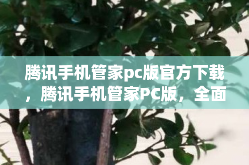 腾讯手机管家pc版官方下载,腾讯手机管家PC版,全面管理手机,打造智能生活 腾讯手机管家pc版官方下载,腾讯手机管家PC版,全面管理手机,打造智能生活