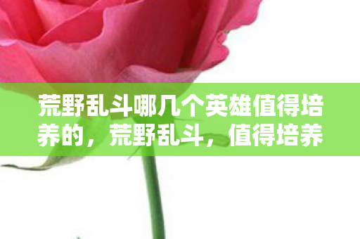 荒野乱斗哪几个英雄值得培养的,荒野乱斗,值得培养的英雄推荐 荒野乱斗哪几个英雄值得培养的,荒野乱斗,值得培养的英雄推荐