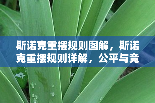 斯诺克重摆规则图解,斯诺克重摆规则详解,公平与竞技的守护者 斯诺克重摆规则图解,斯诺克重摆规则详解,公平与竞技的守护者
