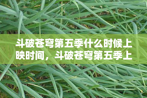 斗破苍穹第五季什么时候上映时间,斗破苍穹第五季上映时间揭晓,期待与震撼并存 斗破苍穹第五季什么时候上映时间,斗破苍穹第五季上映时间揭晓,期待与震撼并存