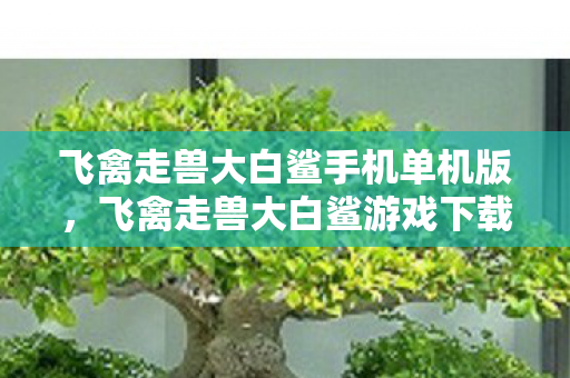 飞禽走兽大白鲨手机单机版,飞禽走兽大白鲨游戏下载,探索经典游戏的魅力 飞禽走兽大白鲨手机单机版,飞禽走兽大白鲨游戏下载,探索经典游戏的魅力