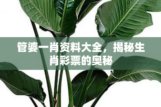 管婆一肖资料大全,揭秘生肖彩票的奥秘 管婆一肖资料大全,揭秘生肖彩票的奥秘